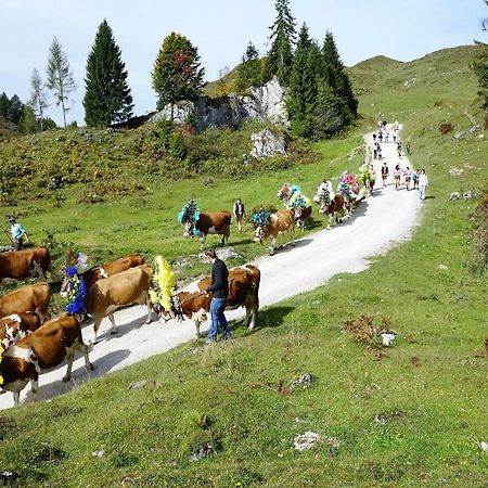 Ferienwohnung Julia Brixen im Thale Εξωτερικό φωτογραφία
